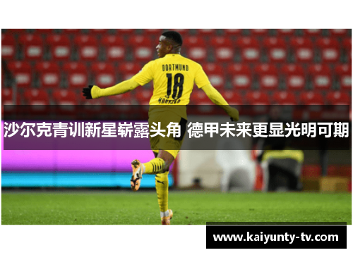 沙尔克青训新星崭露头角 德甲未来更显光明可期