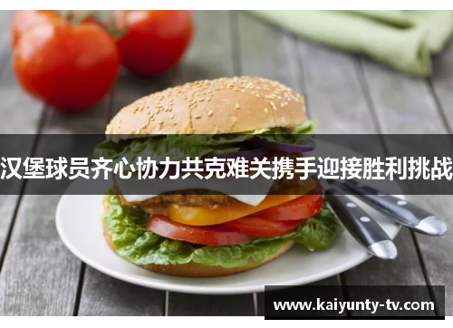 汉堡球员齐心协力共克难关携手迎接胜利挑战