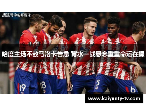 哈度主场不敌马洛卡告急 背水一战悬念重重命运在握