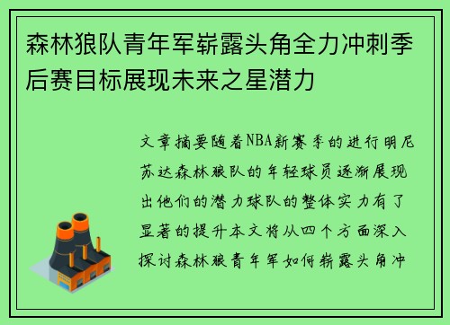 森林狼队青年军崭露头角全力冲刺季后赛目标展现未来之星潜力