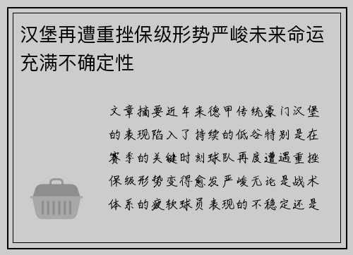 汉堡再遭重挫保级形势严峻未来命运充满不确定性
