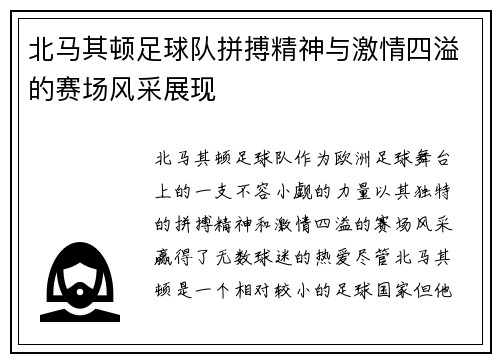 北马其顿足球队拼搏精神与激情四溢的赛场风采展现